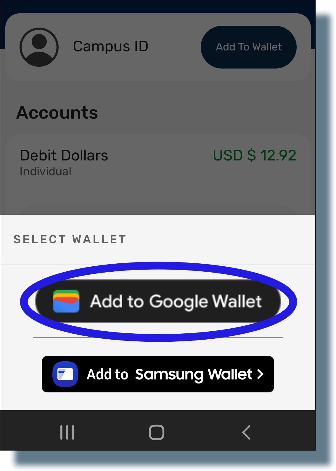 Screen with 'Add to Google Wallet' selected.